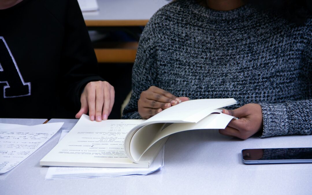 From Studio to Stardom: dmitstudio’s DMIT Frenchies Stealing Hearts Worldwide